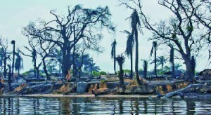 6-Ogoniland-300x164