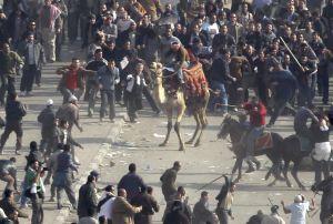 Pro-government demonstrators, some riding camels and horses and armed with sticks, clash with anti-government demonstrators in Tahrir square, the center of anti-government demonstrations, in Cairo, Egypt Wednesday, Feb. 2, 2011. (AP Photo/Ben Curtis)